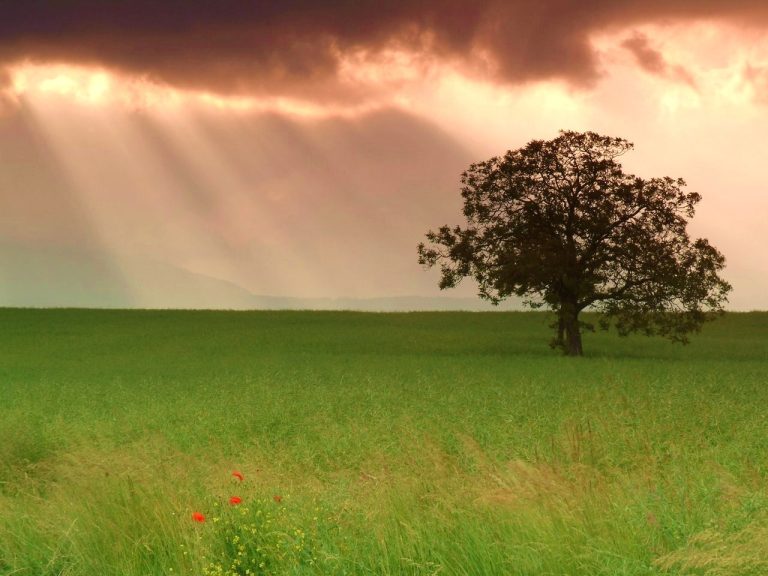 ORA DELLA TERRA , 23 MARZO UN BUIO “LUMINOSO”