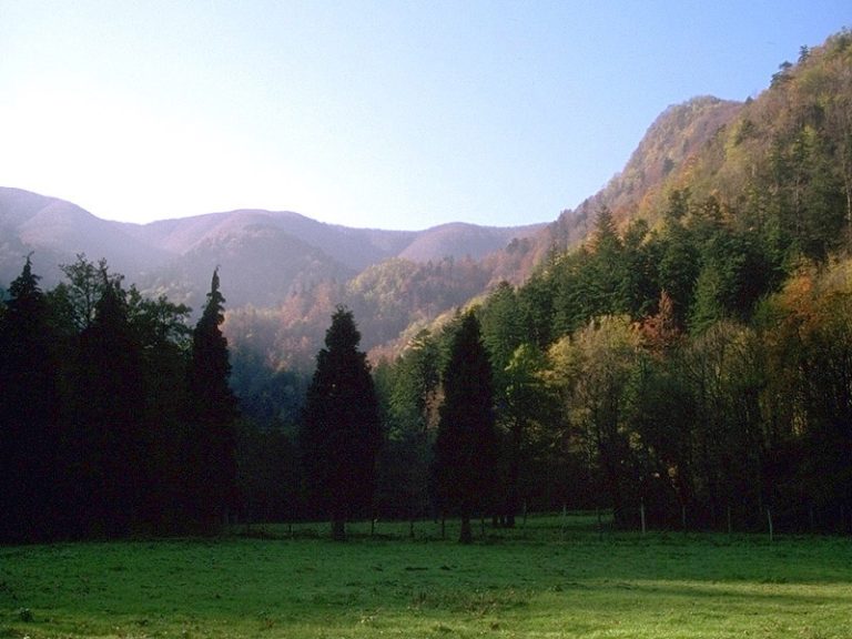 VIVERE LA NATURA “ Campi estivi nel Parco Nazionale delle casentinesi