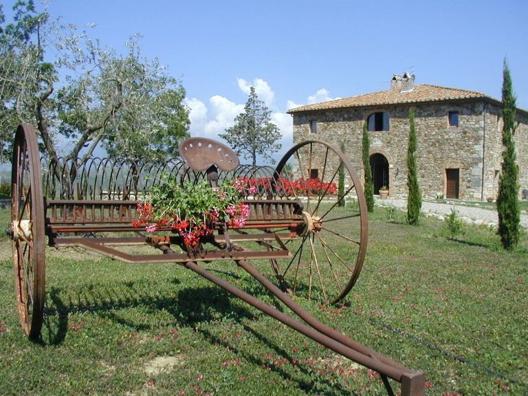 AGRICOLTURA – I giovani: meglio un agriturismo che lavorare in ufficio