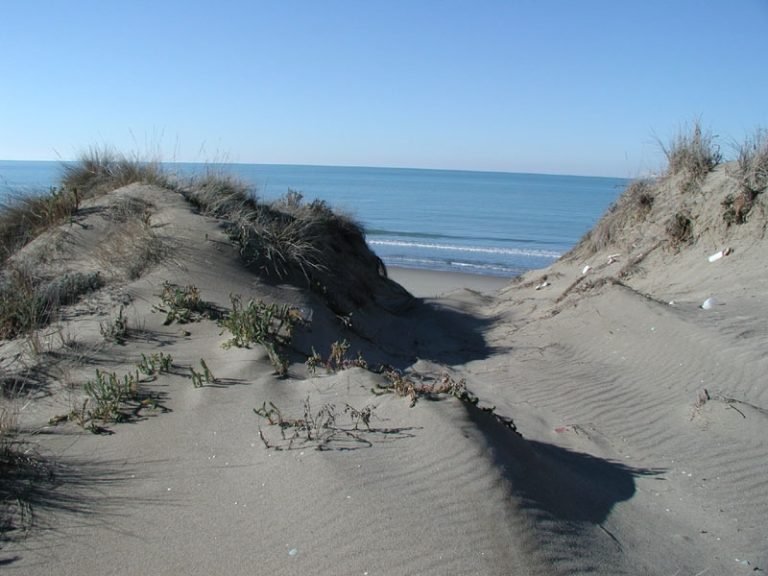 NATURA – Nuova guida per visitare in tutte le stagioni il Parco di Migliarino, San Rossore e Massaciuccoli