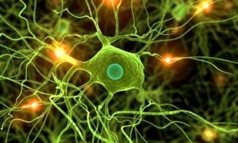 NEUROLOGIA – Le novità  dei neuroscienziati su mano bionica, malattia di Alzheimer e cellule staminali