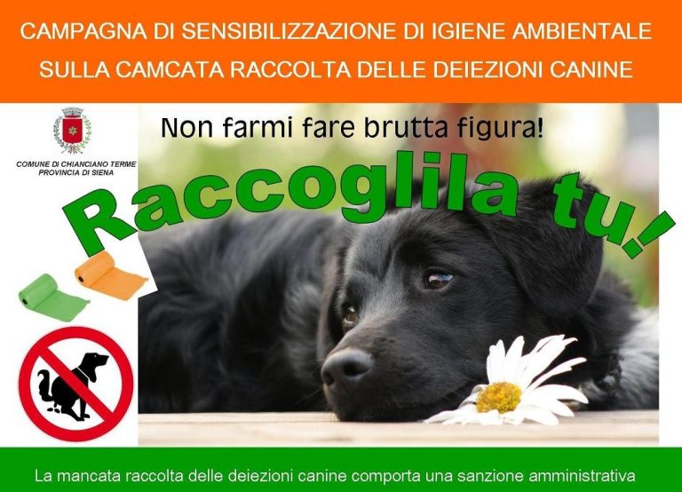 Raccolta feci cani, a Chianciano Terme massimo rigore e sanzioni per i trasgressori