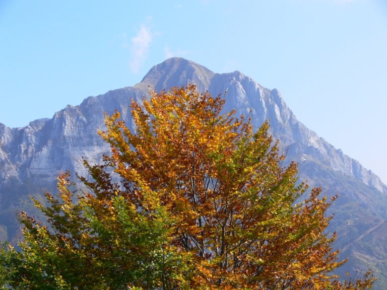 GIORNATA MONTAGNA – Salvadori: “Presidio territorio fondamentale contro dissesto”