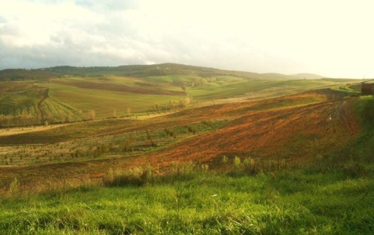 Piano paesaggistico Toscana, associazioni ambientaliste contro il maxiemendamento PD