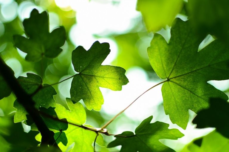 Ecosostenibilità : in Toscana con progetto “EVE” 300 stazioni ricarica per veicoli elettrici