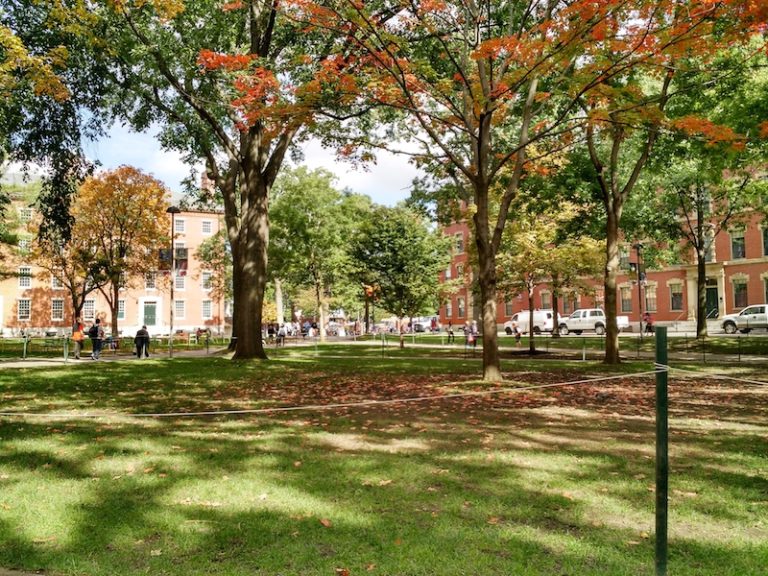 Infermiere di Boston a Villa Donatello di Firenze per apprendere il modello italiano delle scienze infermieristiche