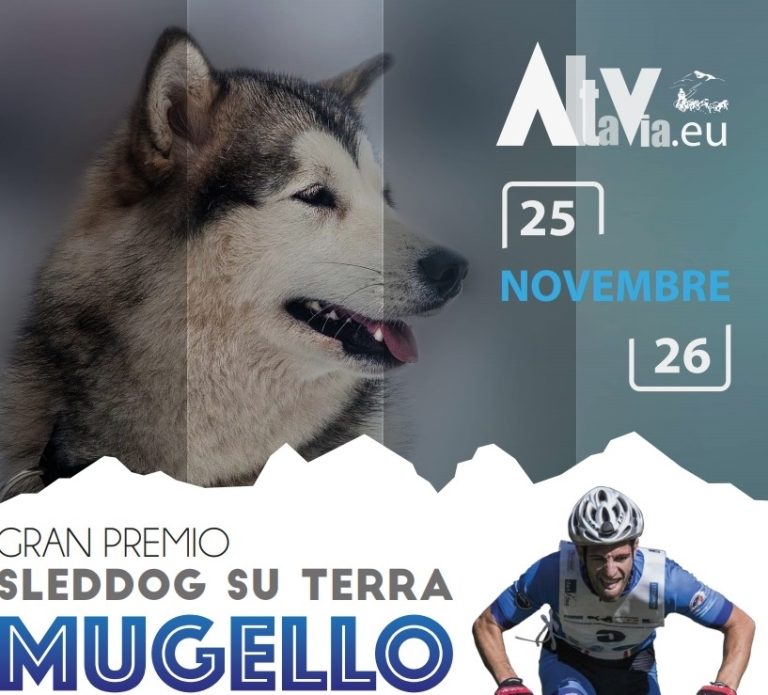 Gran Premio Mugello di Sleddog su terra