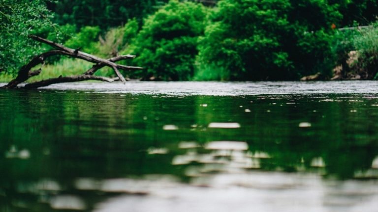 Parco Nazionale fiume Magra, On. Muroni presenta Proposta di Legge