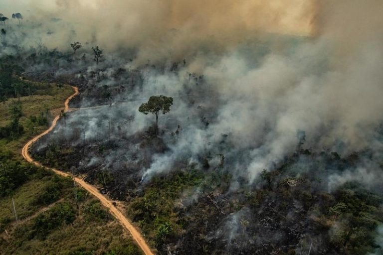 Le fiamme stanno consumando l’Amazzonia