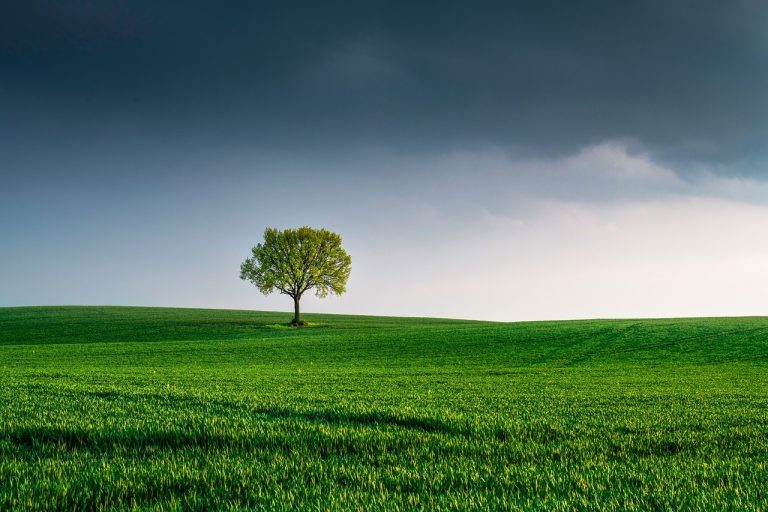 Giornata della terra, Poste Italiane a zero emissioni entro il 2030