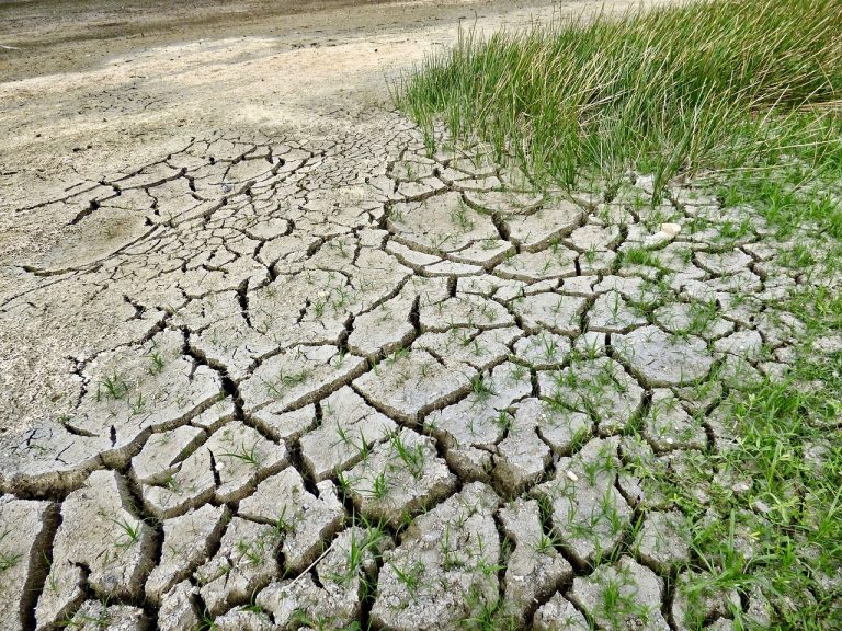 Siccità , spariscono i grandi fiumi d’Italia