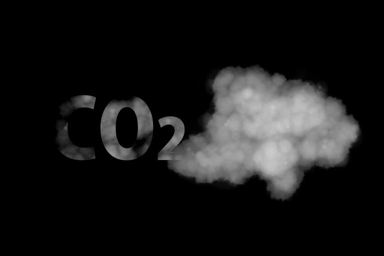 CO2, il batterio che la divora