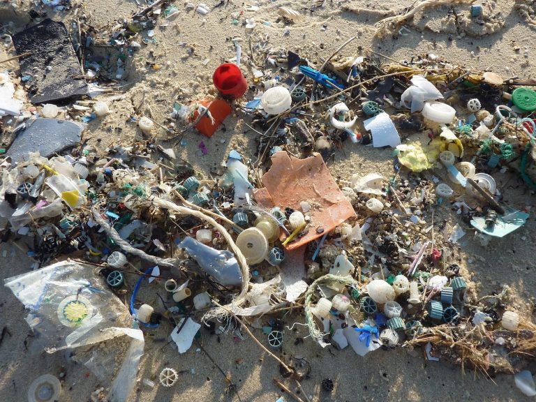 Spiagge e fiumi libere da plastica, 15 mila volontari