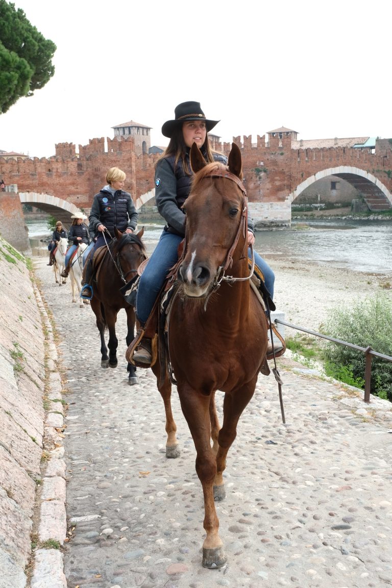 Le bellezze della città  viste da cavallo