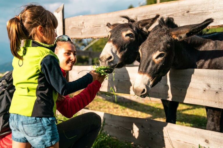 Trentino tra le mete preferite dai toscani