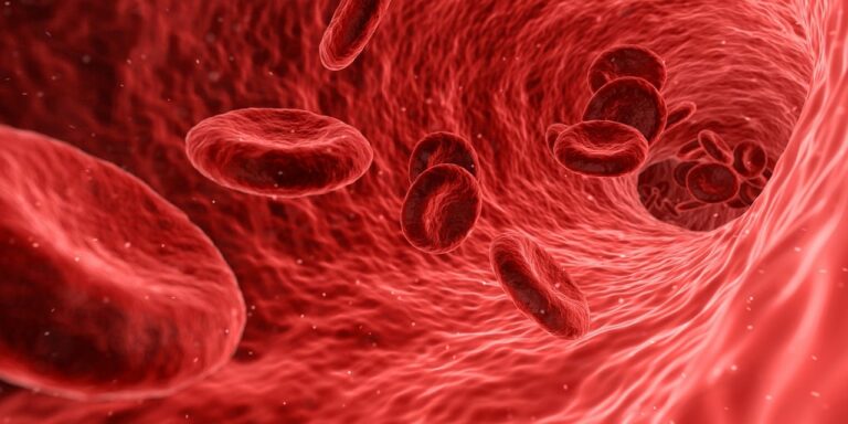 La proteina del sangue che predice il rischio di cancro e infarto negli anziani