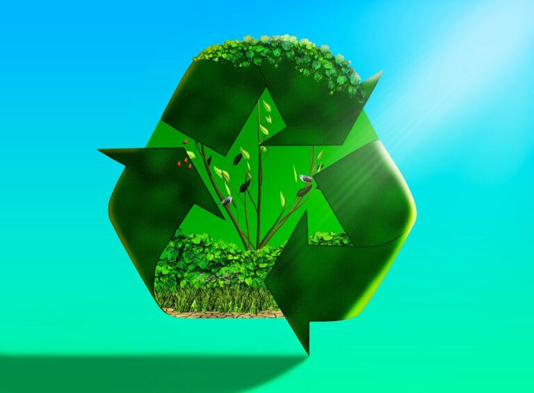 La cultura del riciclo e della sostenibilità, l’esperienza degli ecocentri