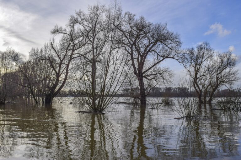 l’Italia e il problema alluvioni, danni da 360 mld in 80 anni. Manca la prevenzione