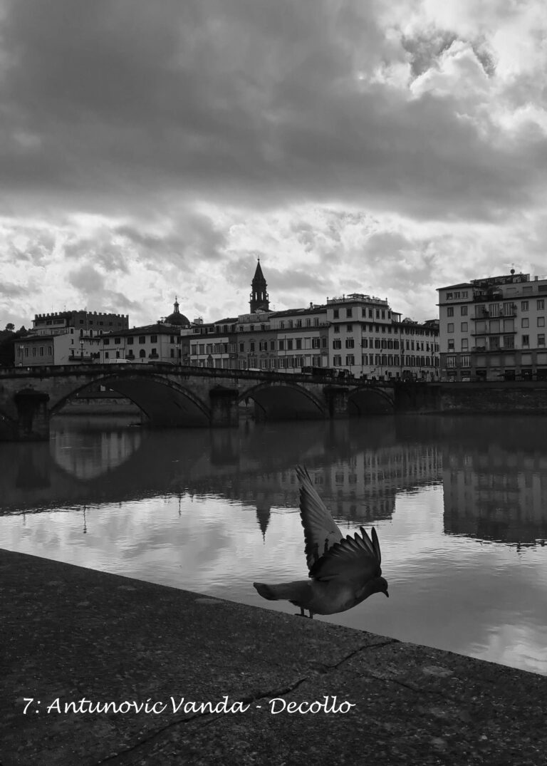 Firenze raccontata da 600 foto di studenti, il concorso