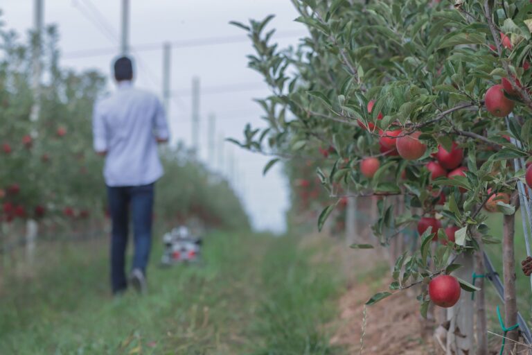 Cambiamenti climatici in agricoltura: una piattaforma per i rischi e lo scambio sicuro dei dati