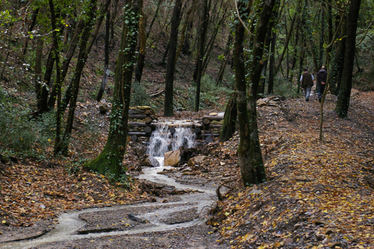 Forest Innovation Workshop, Toscana in prima linea