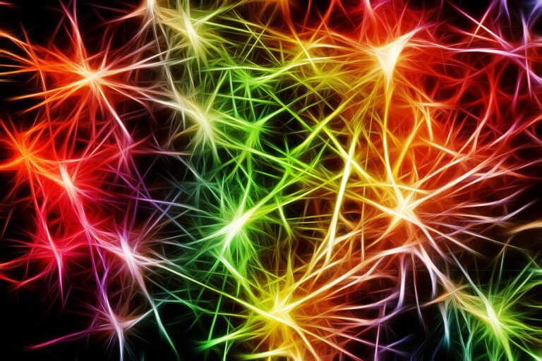 Epilessia: più consapevolezza, inclusione e cure