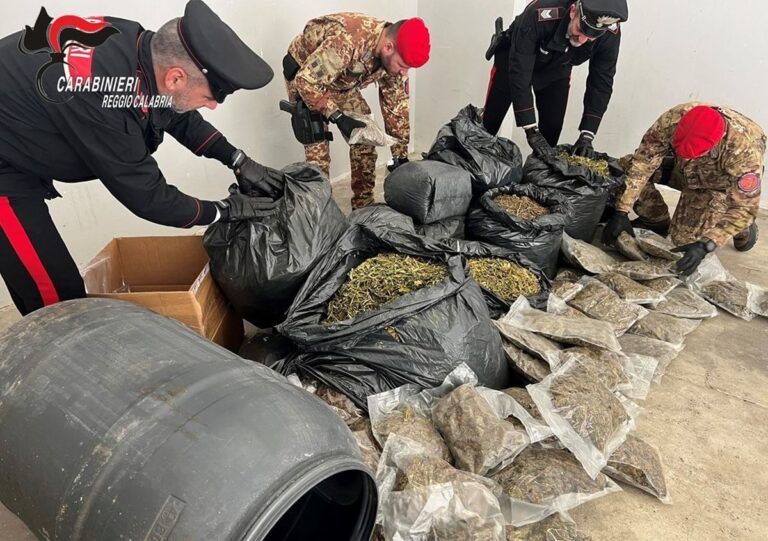 Più di 30 kg di marijuana nascosti in casa nella Locride, un arresto